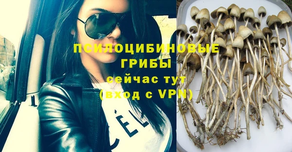 PSILOCYBIN Горнозаводск