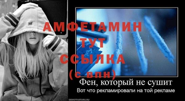 PSILOCYBIN Горнозаводск